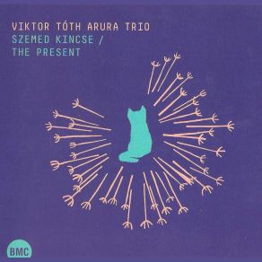 Download track Brilliant Steps Viktor Tóth Arura Trio