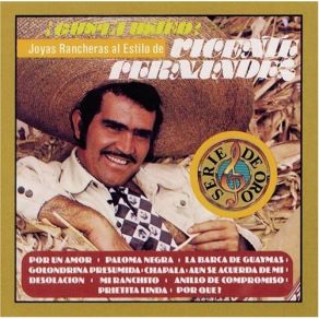 Download track Mi Ranchito Vicente Fernández