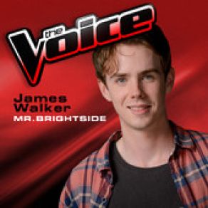 Download track Mr Brightside (The Voice 2013 Performance) James Walker