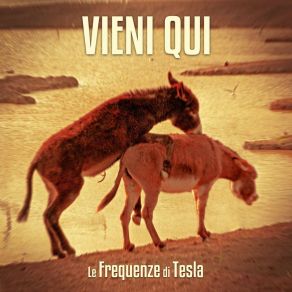 Download track Vieni Qui Le Frequenze Di Tesla