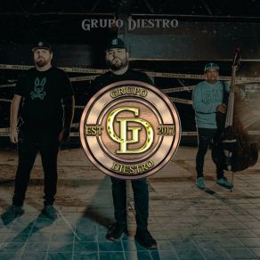 Download track Se Que Lo Voy A Lograr Grupo Diestro