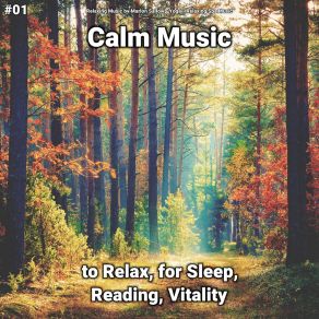Download track Mindfulness Training Relaxing Spa Music