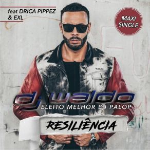 Download track Meu Lugar Dj WaldoDrica Pippez