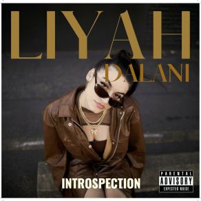 Download track Shots In The Dark Liyah DalaniNOSHOWS