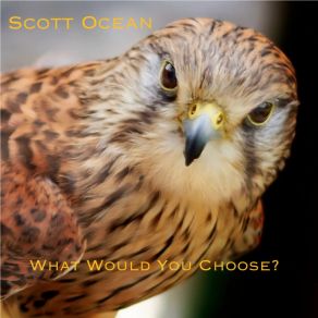 Download track What Would You Choose Scott Ocean