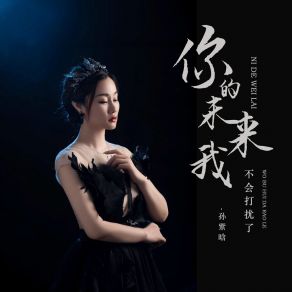 Download track 你的未来我不会打扰了 (Dj默涵版) 孙紫晗默涵