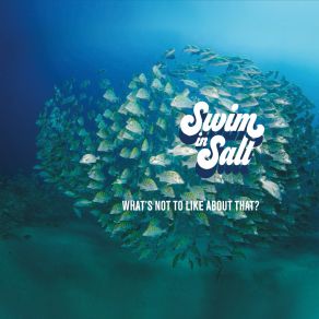 Download track What's Not To Like About That Swim In Salt