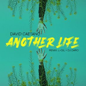 Download track Another Life (Dj Daro The Mezcla Remix) David CaetanoDJ Daro