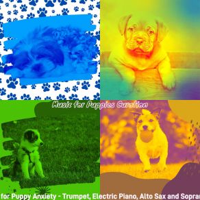 Download track Smooth Jazz Soundtrack For Lonely Puppies Music For Puppies Curation