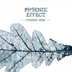 Download track My Heart Is A Beating Drum Phoenix EffectOlli Tukiainen