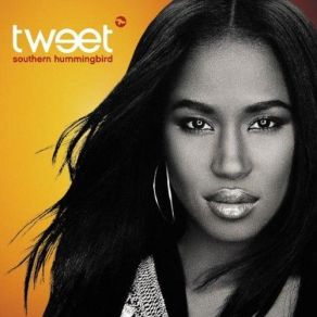 Download track Oops (Oh My) TweetMissy Elliott, Missy Misdemeanor Elliott