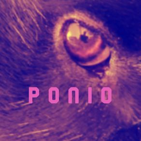 Download track Waking Up Ponio