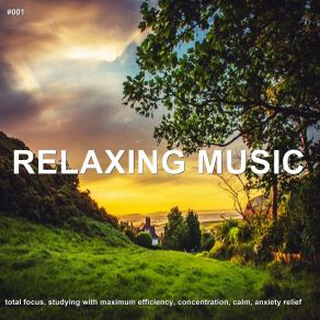 Download track Soothing Energy Yoga Sounds