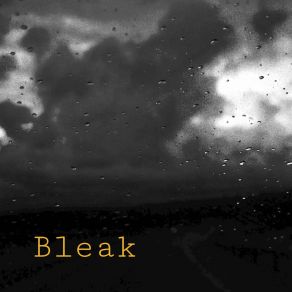 Download track Bleak Felix Brady