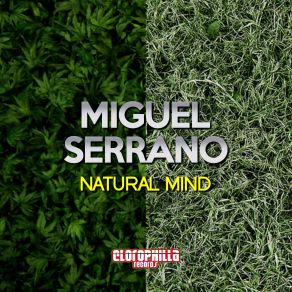 Download track Body Language Miguel Serrano