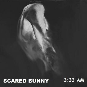 Download track 3: 33 AM Scared Bunny