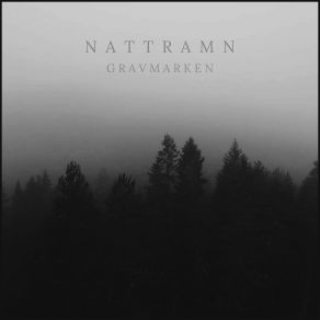 Download track I Salar Av Sten Och Träd Nattramn