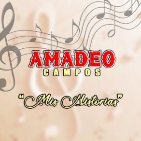 Download track Digame Usted Amadeo Campos