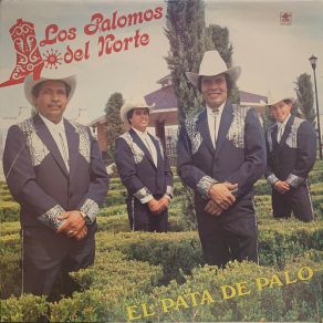 Download track La Banda Del Marquis Negro Los Palomos Del Norte