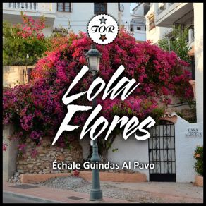 Download track Y No Veo 'Na'! Lola Flores