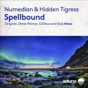 Download track Spellbound (Dub Mix) Hidden Tigress, Numedian