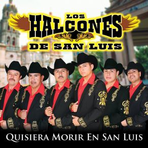 Download track De Cantina En Cantina Los Halcones De San Luis