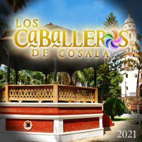 Download track Palomita A Donde Vas Los Caballeros De Cosala