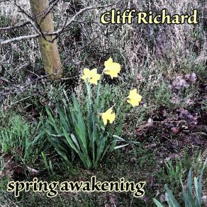 Download track Lamp Of Love Cliff Richard