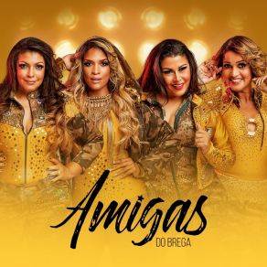 Download track Amor De Rapariga (Ao Vivo) Amigas Do Brega