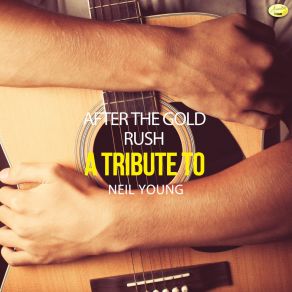 Download track After The Gold Rush Ameritz - Tributes