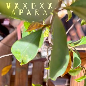 Download track Para VXXDXX