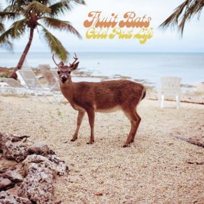 Download track Two Babies In Michigan Fruit Bats