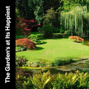 Download track Morning Nature Sounds, Pt. 4 Zen Garden Secrets