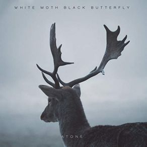 Download track Tempest White Moth Black Butterfly