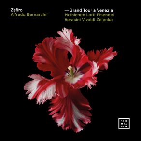 Download track Zelenka: Ouverture A 7 Concertanti In F Major, ZWV 188: III. Menuetto I & Ii' Alfredo Bernardini, Zefiro