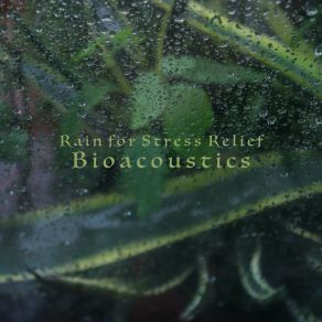 Download track Rainfall Tranquillity Bioacoustics