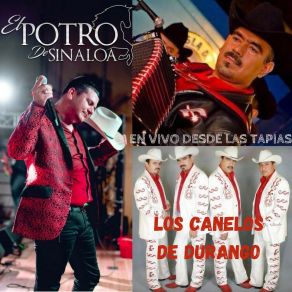 Download track Palomas Que Andan Volando (En Vivo Desde Las Tapias) Los Canelos De Durango