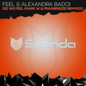 Download track Did We Feel (Mark W Dub Mix) Alexandra Badoi, The Feel