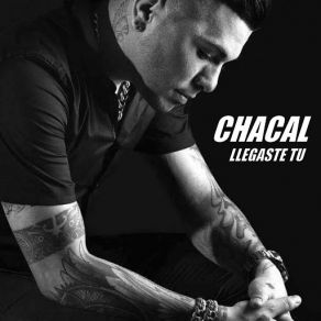 Download track Llegaste Tu Chacal