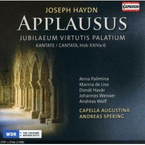 Download track 5a Recitativo: 'Consolationis Plea Sum' Joseph Haydn