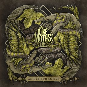 Download track The Blackout Like Moths To Flames