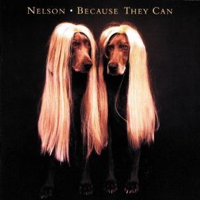 Download track After The Rain (95' Version) Nelson