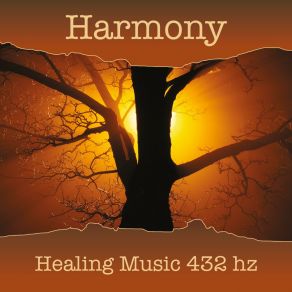 Download track Divine Chant Healing Music