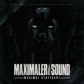 Download track Wie Konnte Das Passieren (Radio Edit) Maximal Stuttgart