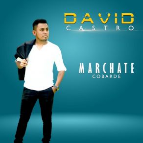 Download track Volar Cantando David Castro