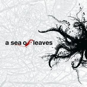 Download track Cosmic Messenger A Sea Of Leaves