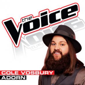 Download track Adorn (The Voice Performance) Cole Vosbury