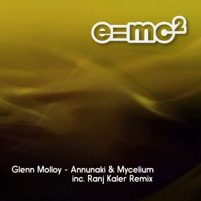 Download track Mycelium (Radio Edit) Glenn Molloy