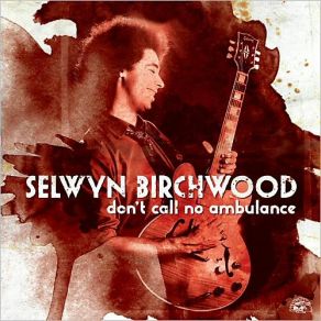 Download track Hoodoo Stew Selwyn Birchwood