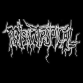 Download track Die Nazi Scum Misantropical